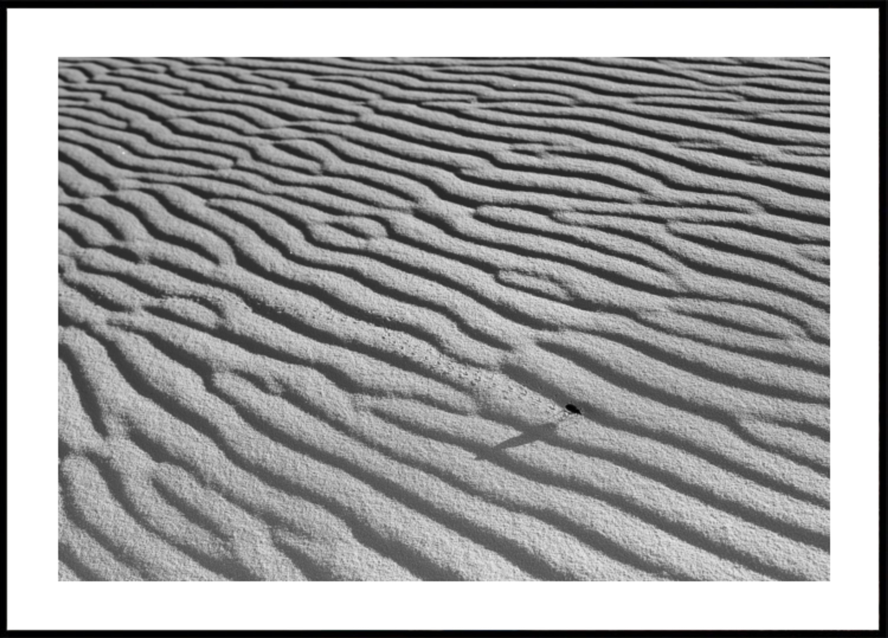 Golfde Zand En Insect
