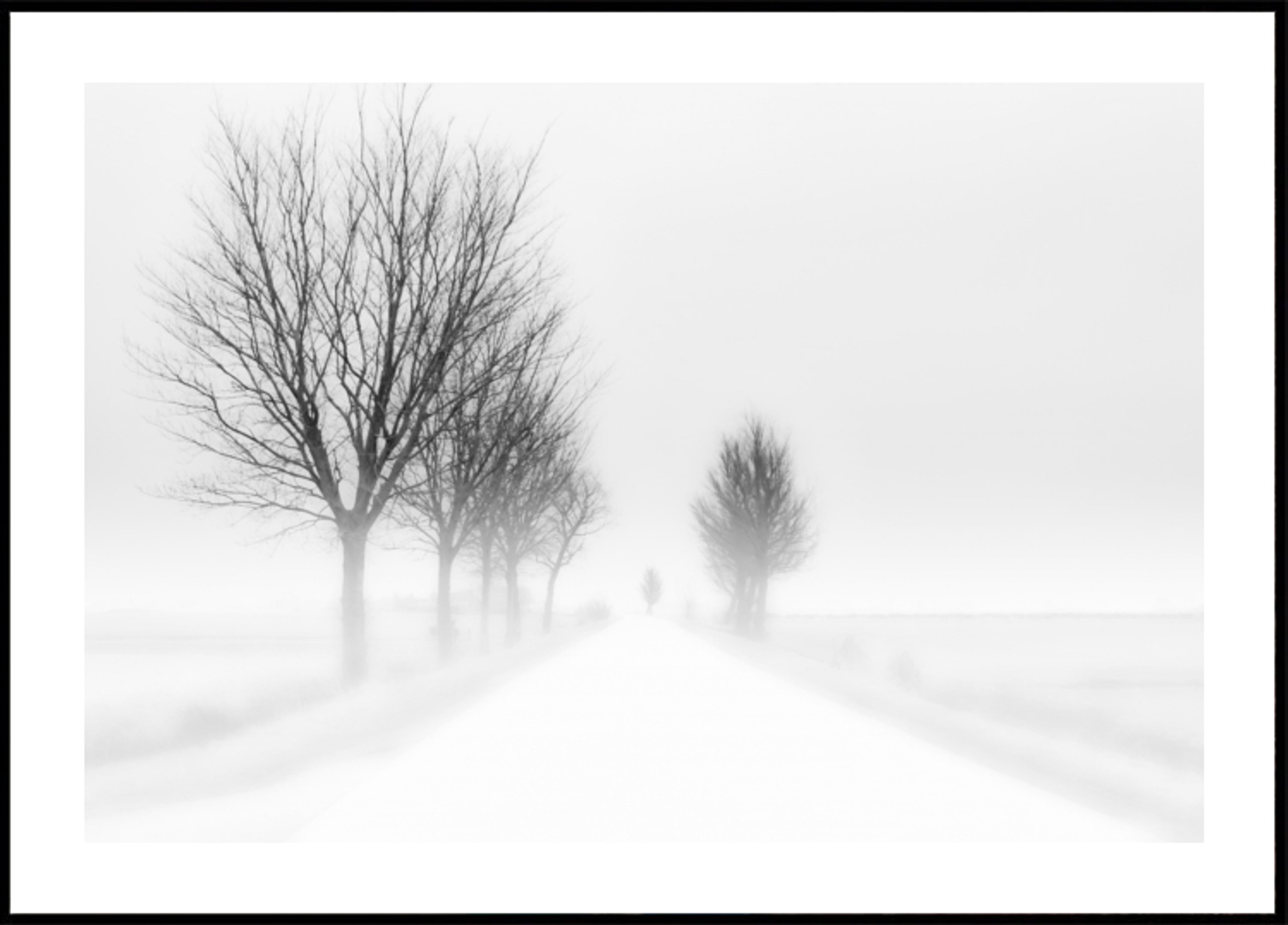 Mistige Winterweg