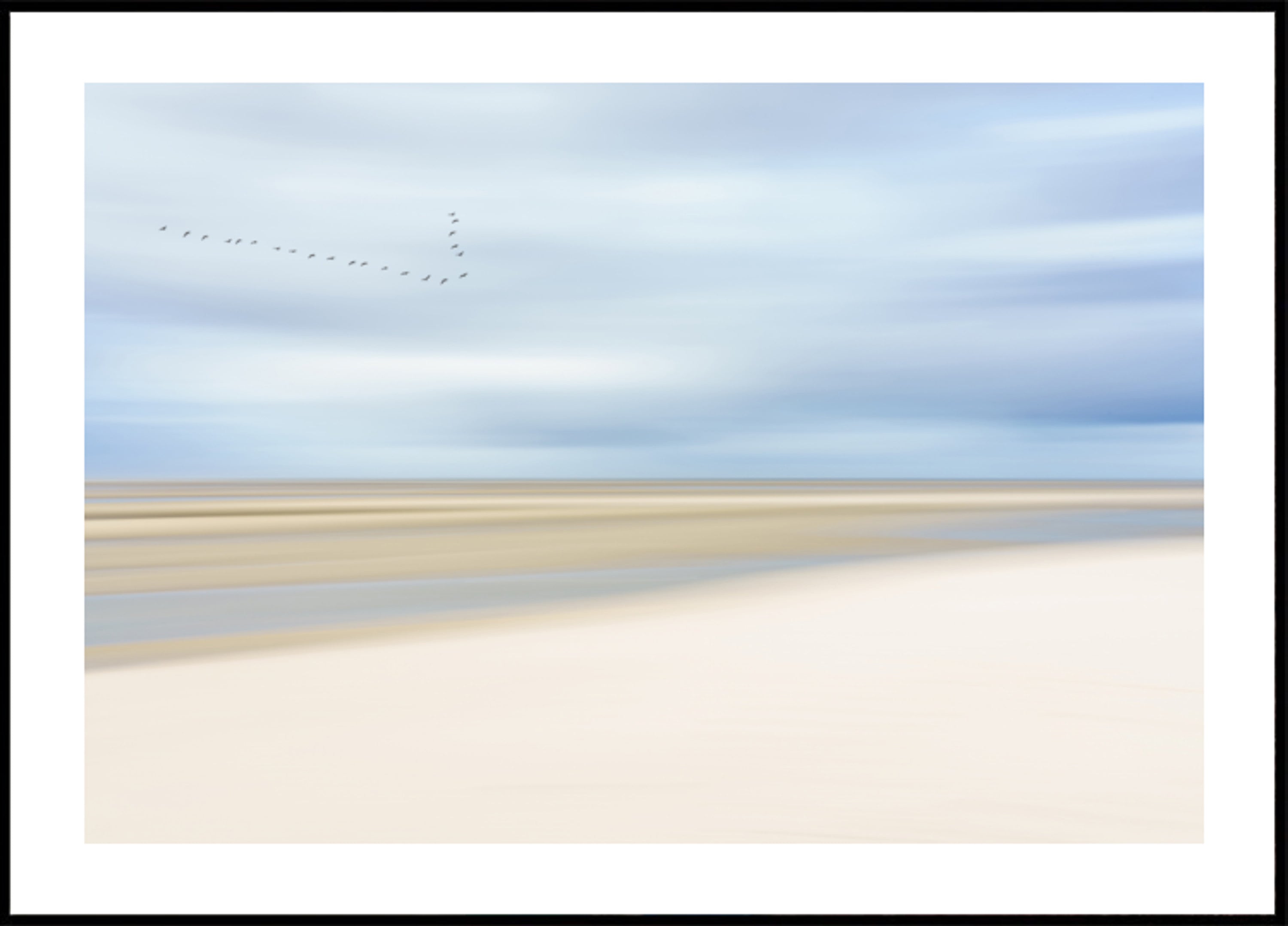 Vogels Over Serene Kust