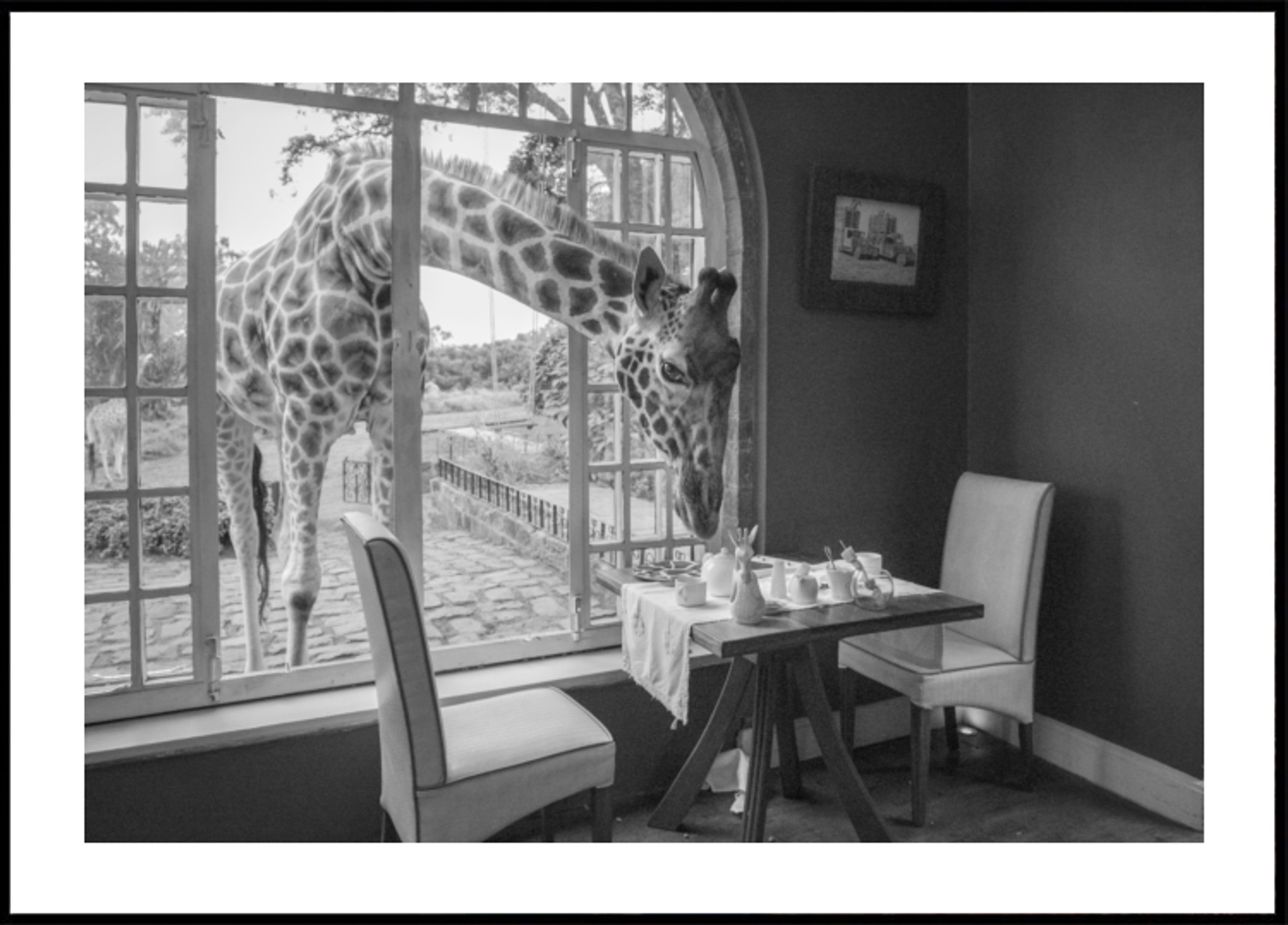 Ochtendgiraffe gast