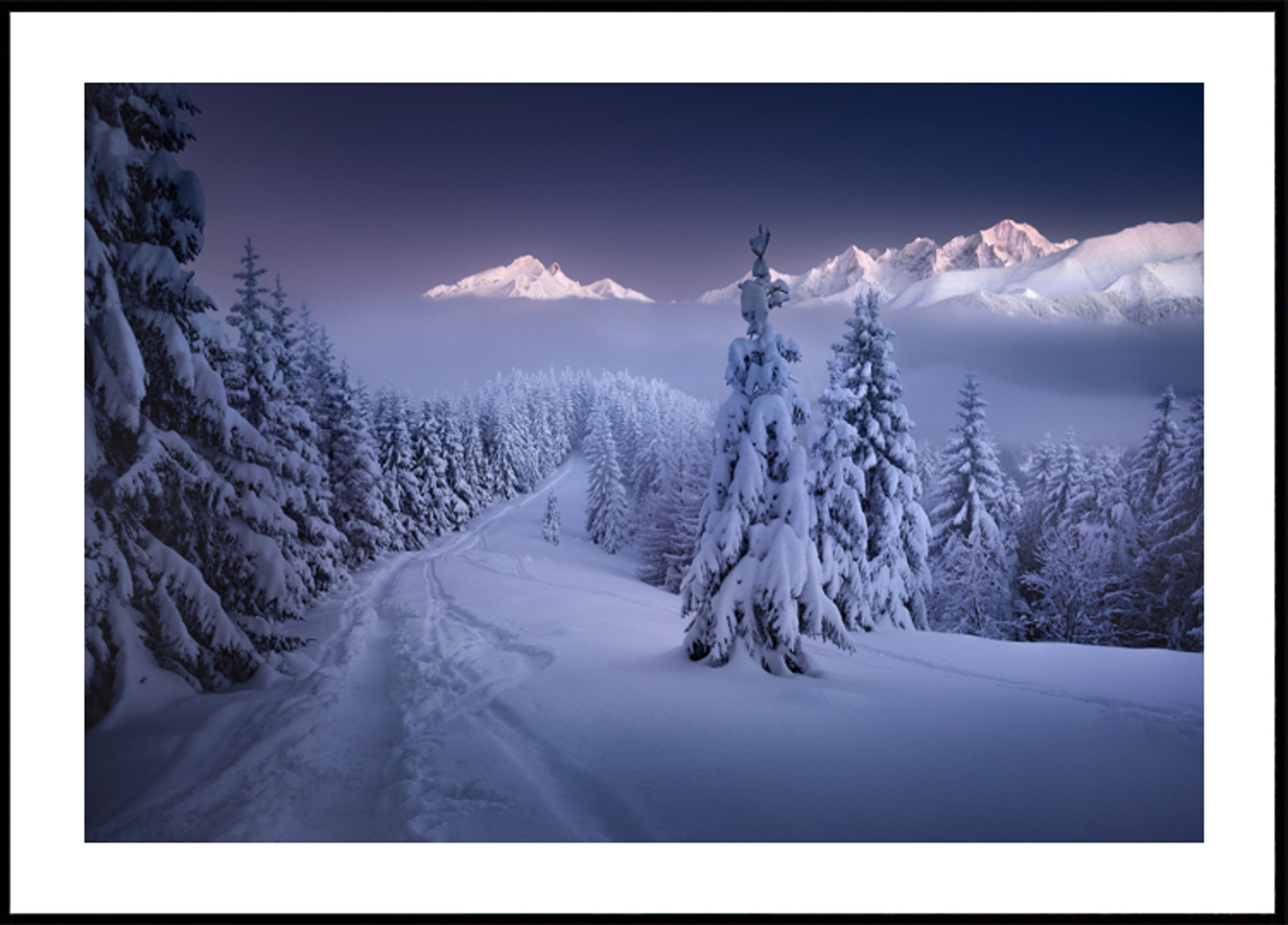 Winter bos bergpad