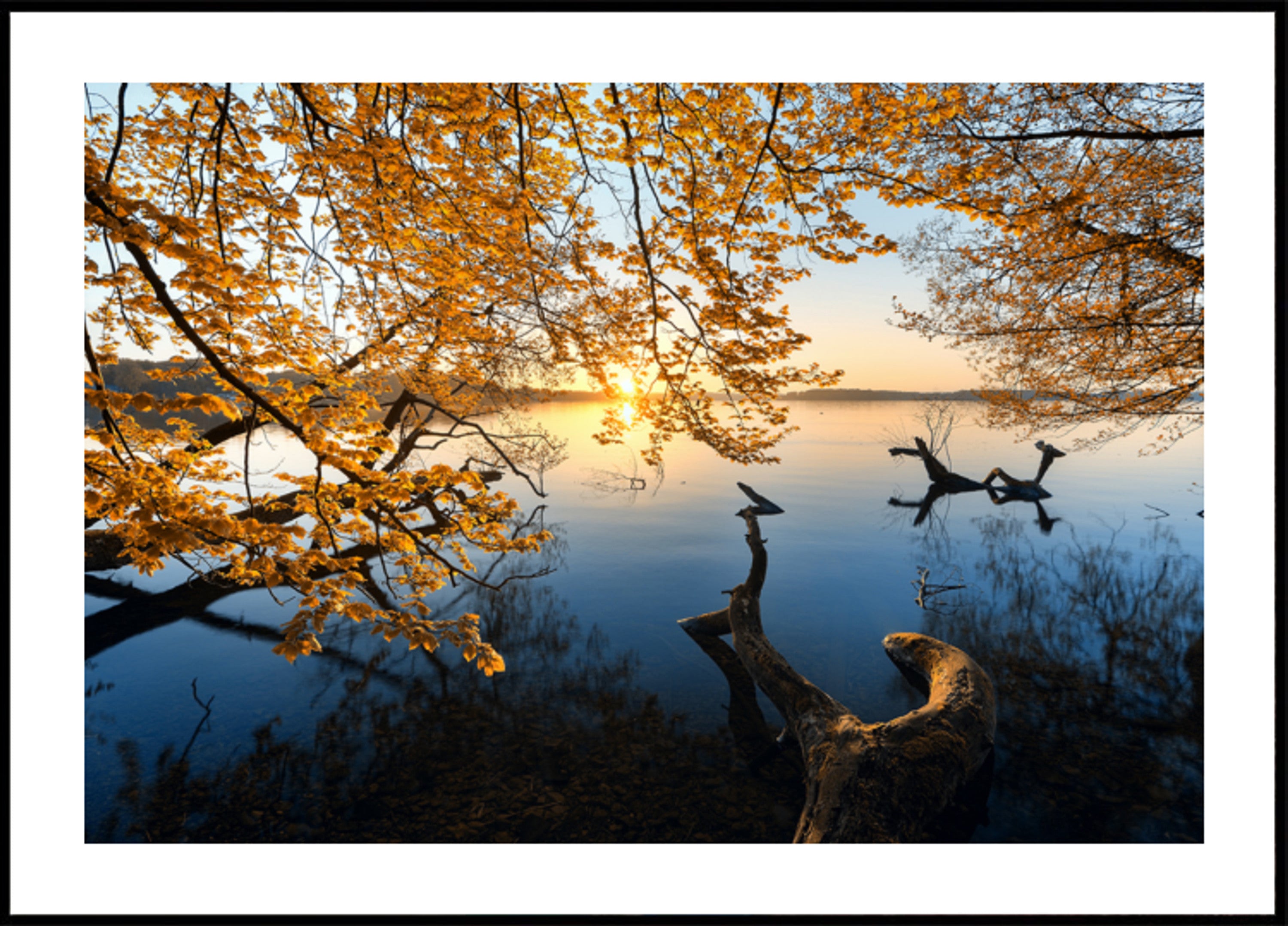 Gouden herfstmeerzonsopgang