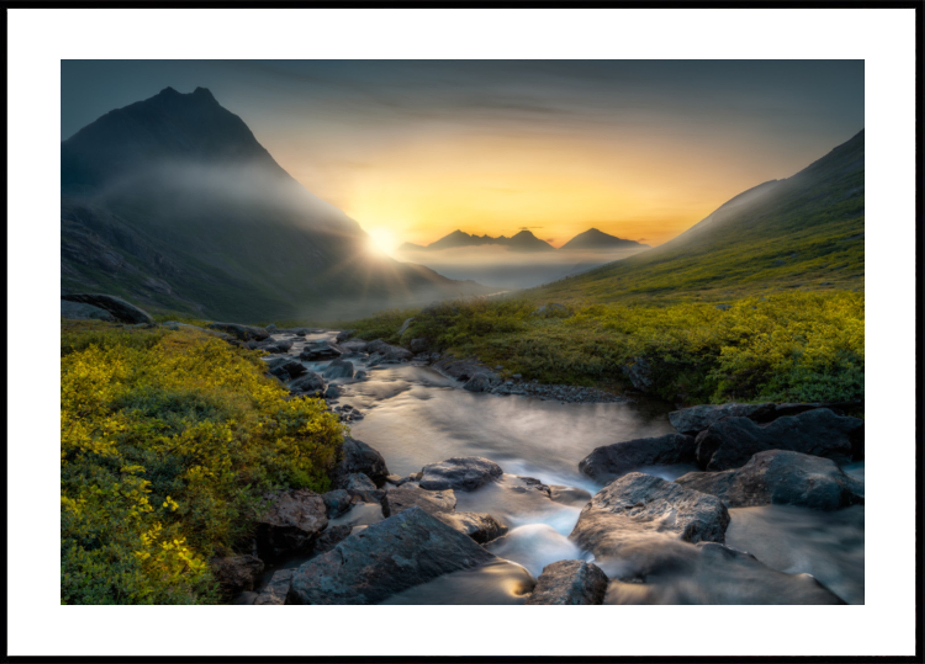 Gouden Bergstroom
