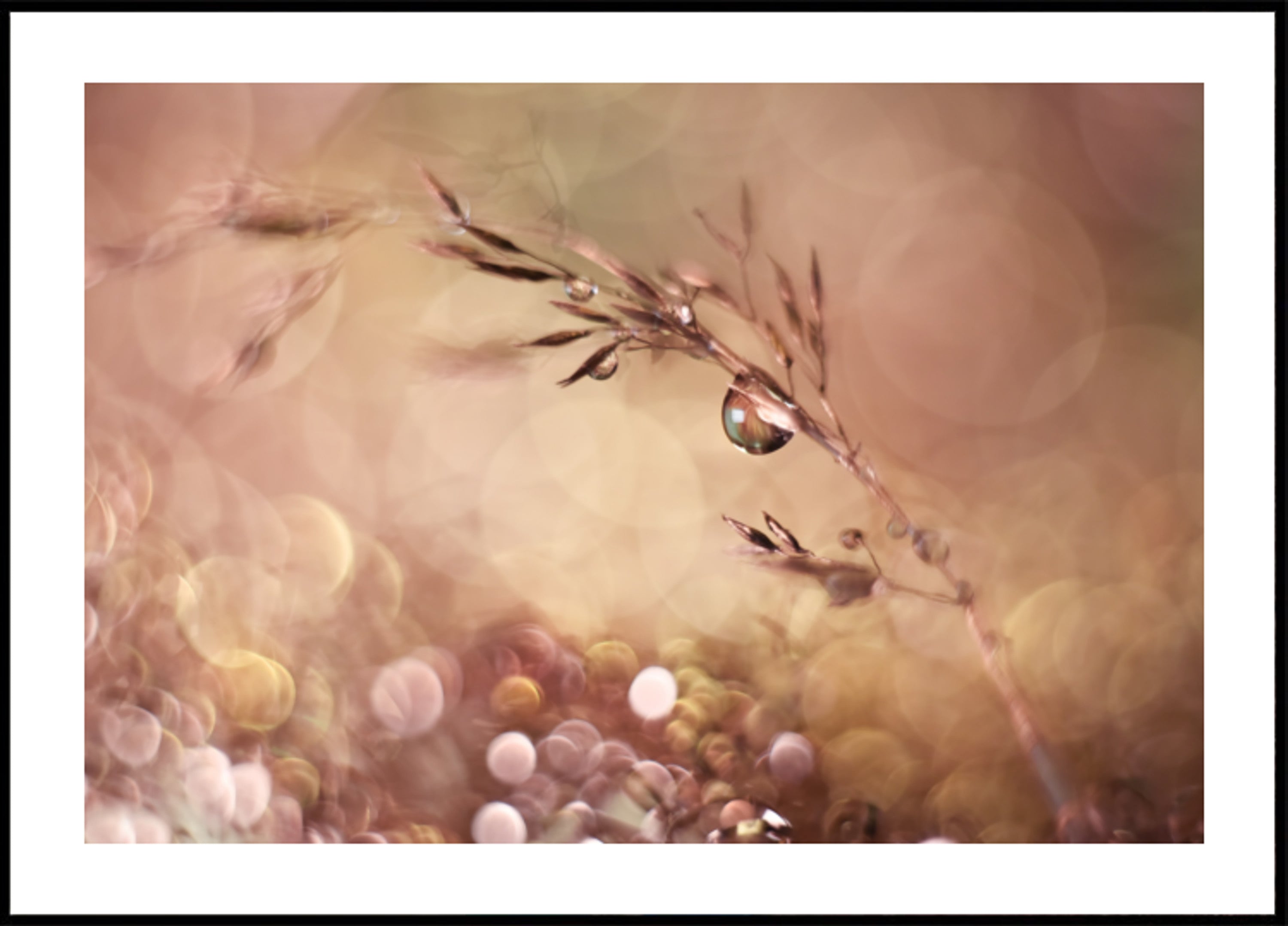 Etherische waterdruppels