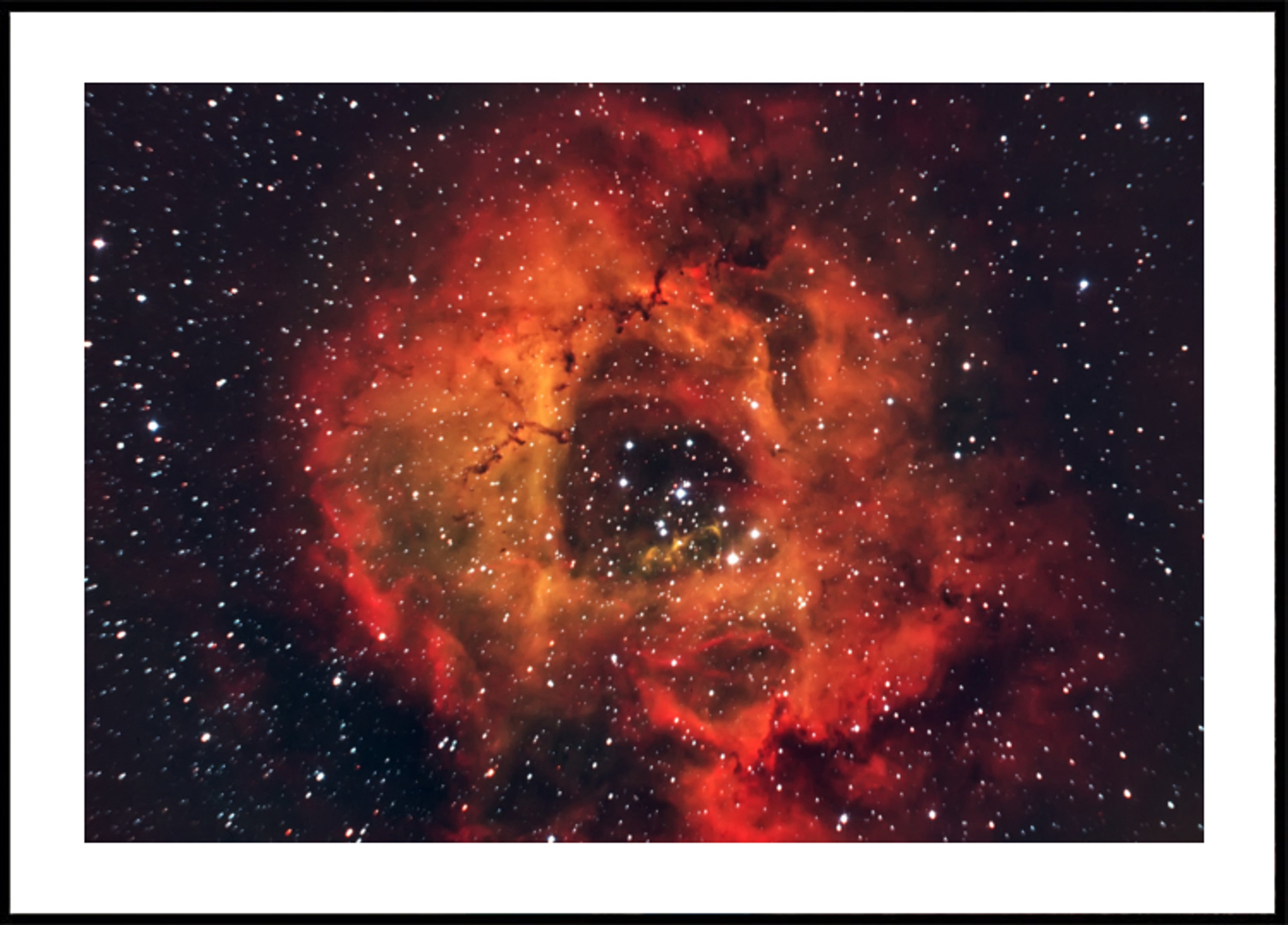 Kosmische Rozennevel