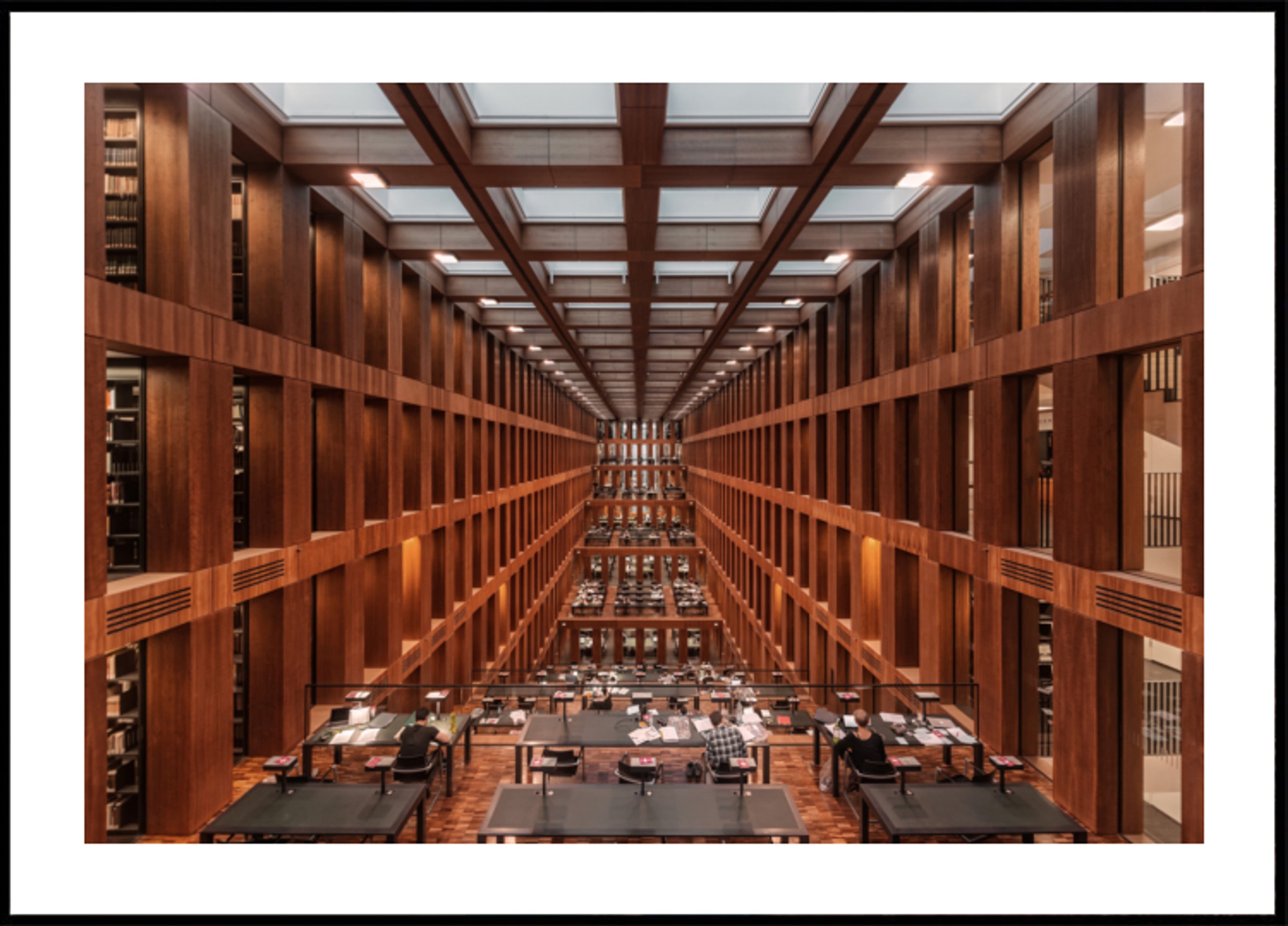Grote moderne bibliotheek
