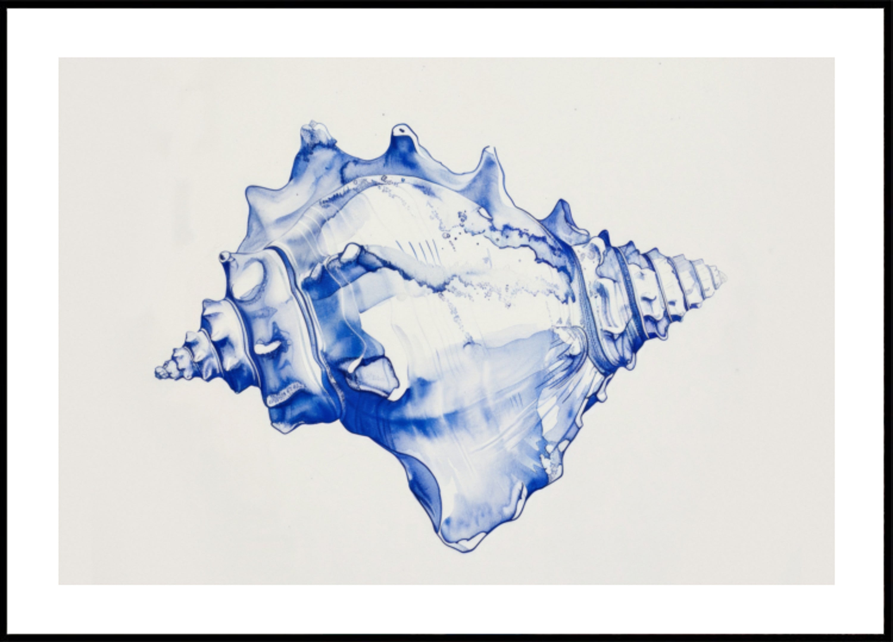Blauwe Conch-harmonie