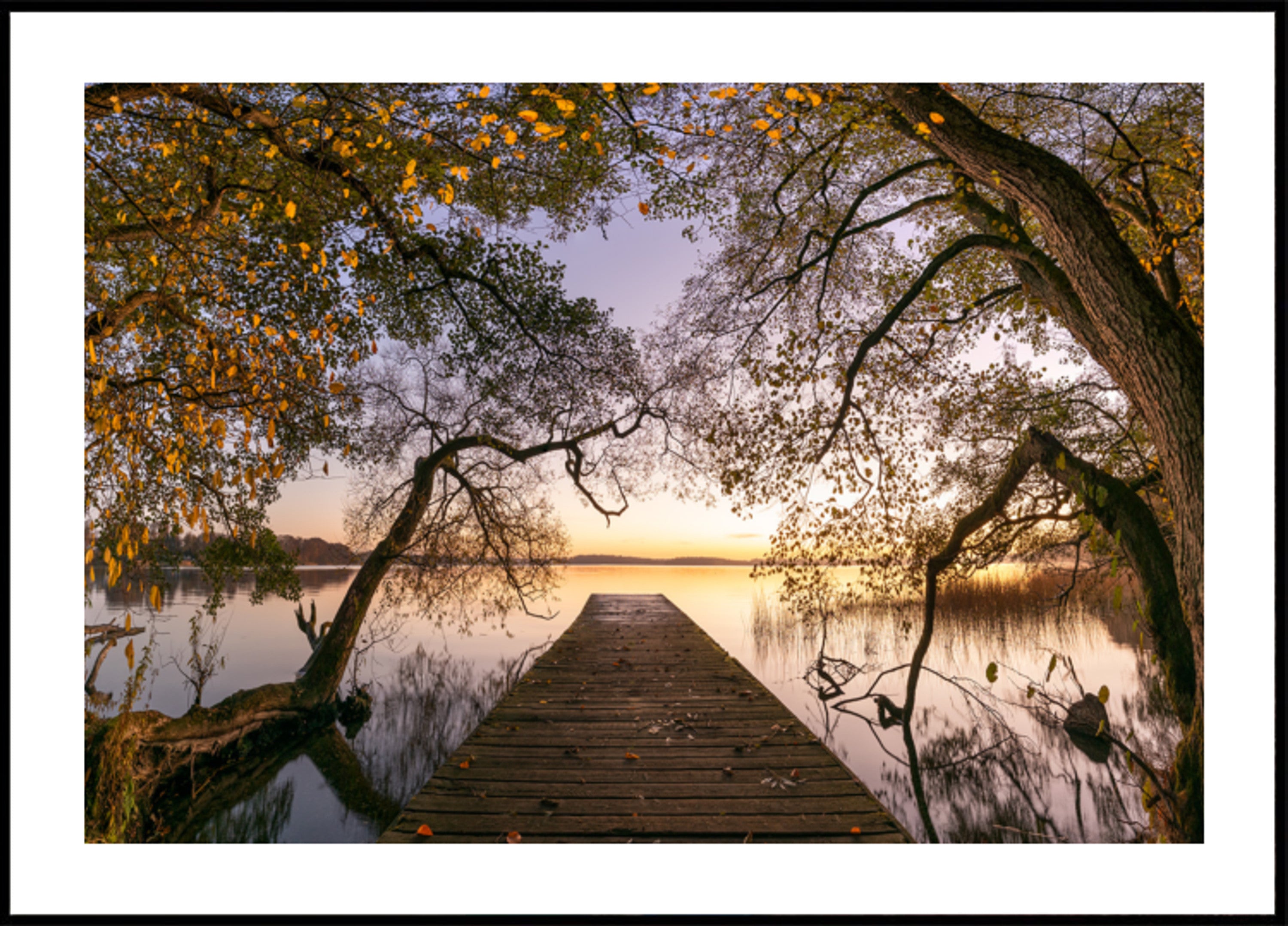 Gouden Herfstpier